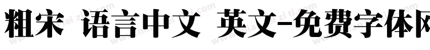 粗宋 语言中文 英文字体转换